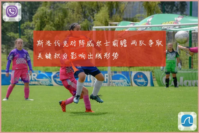 斯洛伐克对阵威尔士前瞻 两队争取关键积分影响出线形势