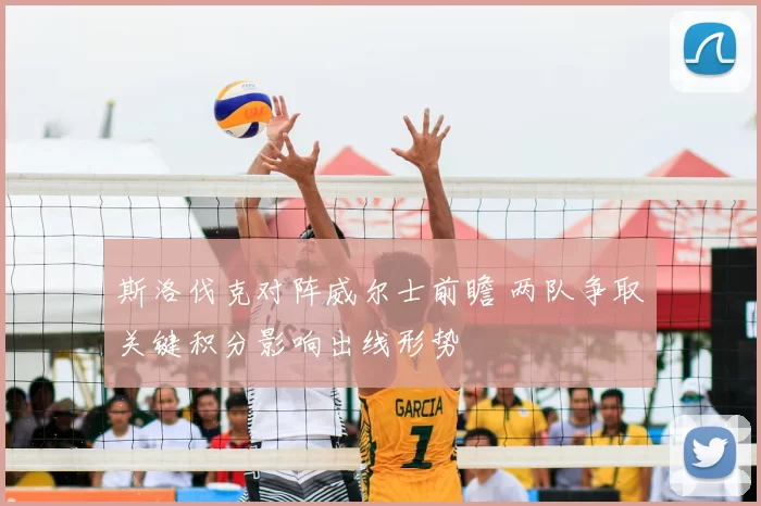 斯洛伐克对阵威尔士前瞻 两队争取关键积分影响出线形势